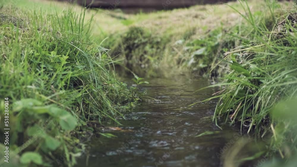 Small river flowing through grass, close up view. Grass touching surface of a small river, hand held shot. Small river flowing through grass, close up view. Grass touching surface of a small river, hand held shot.