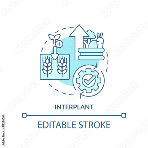 Interplant turquoise concept icon. Plant multiple cultures. Farming productivity abstract idea thin line illustration. Isolated outline drawing. Editable stroke. Arial, Myriad Pro-Bold fonts used