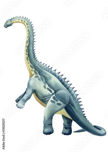 Dinosaur isolated on white background. Hand painted Dinosaurs illustration. Brontosaurus