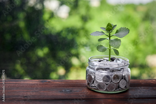 A young plant in a glass jar with coins as a concept for investing and saving