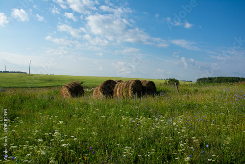 Haystacks in the meadow. Clouds in the sky on a bright sunny day