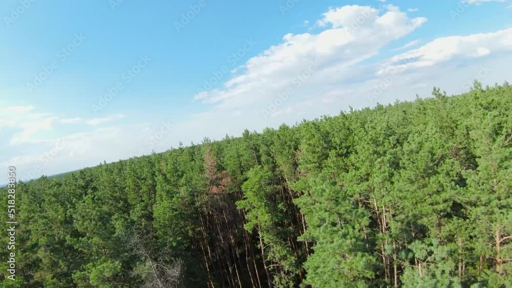 Flight over the forest. Aerial shot with FPV Drone Frames green trees. Nature. Drone footage. Cinematic. Flight over the forest. Aerial shot with FPV Drone Frames green trees. Nature. Drone footage. Cinematic.