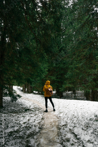 Wallpaper Mural Woman with yellow jacket and backpack in a winter forest of pines with snow. Torontodigital.ca