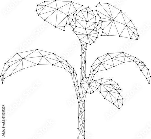 Sprout, plant with leaves growing, from abstract futuristic polygonal black lines and dots. Vector illustration.