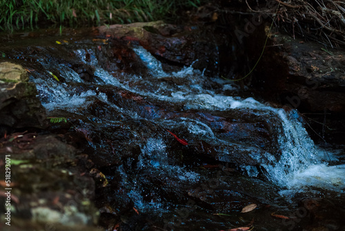 water stream in a mountain forest
