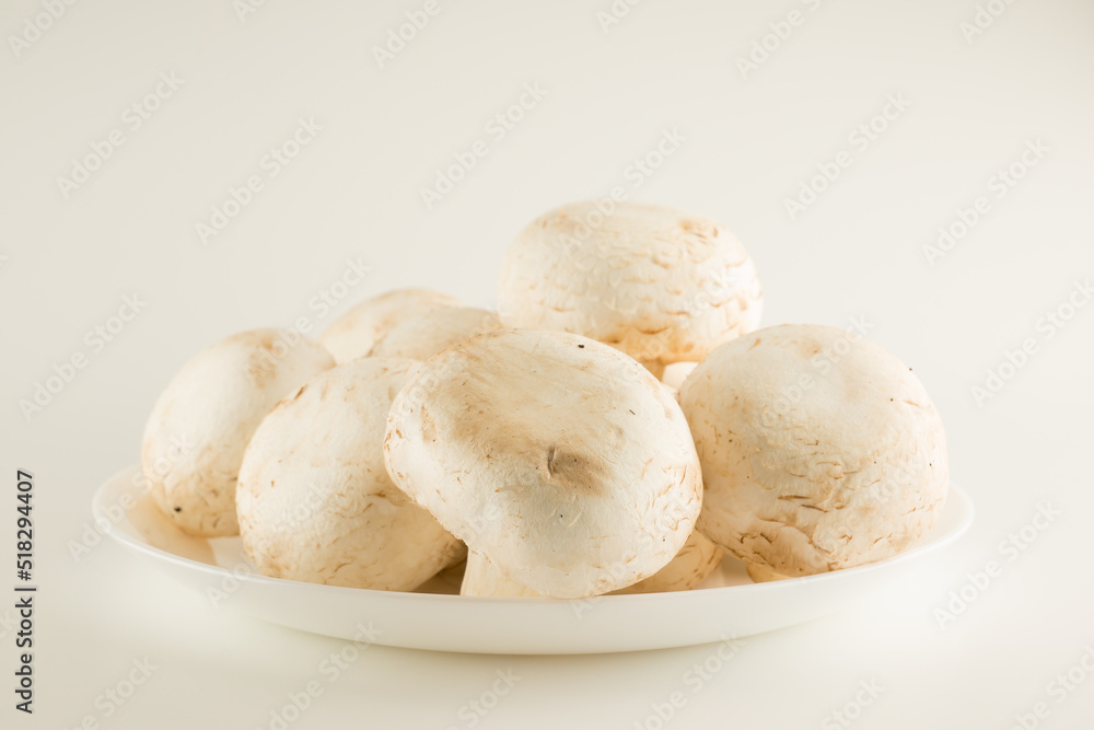 premium champignon mushrooms isolated premium champignon mushrooms isolated