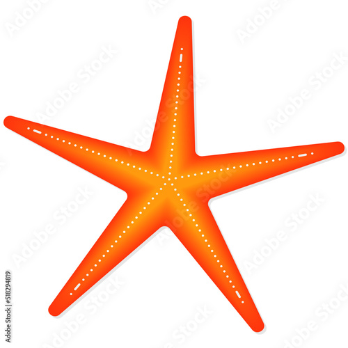Common starfish or sea star fish marine life flat vector icon for apps and websites and some printed matter.