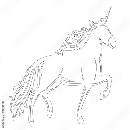 unicorn sketch on white background outline