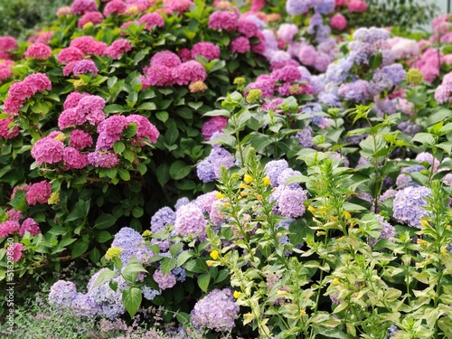 Botanischer Garten Hamburg (LOKI SCHMIDT-GARTEN)