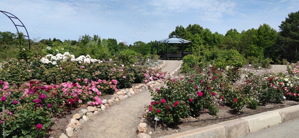 Naklejka premium Botanischer Garten Hamburg (LOKI SCHMIDT-GARTEN)