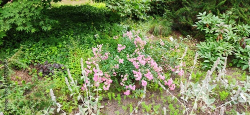Botanischer Garten Hamburg (LOKI SCHMIDT-GARTEN)