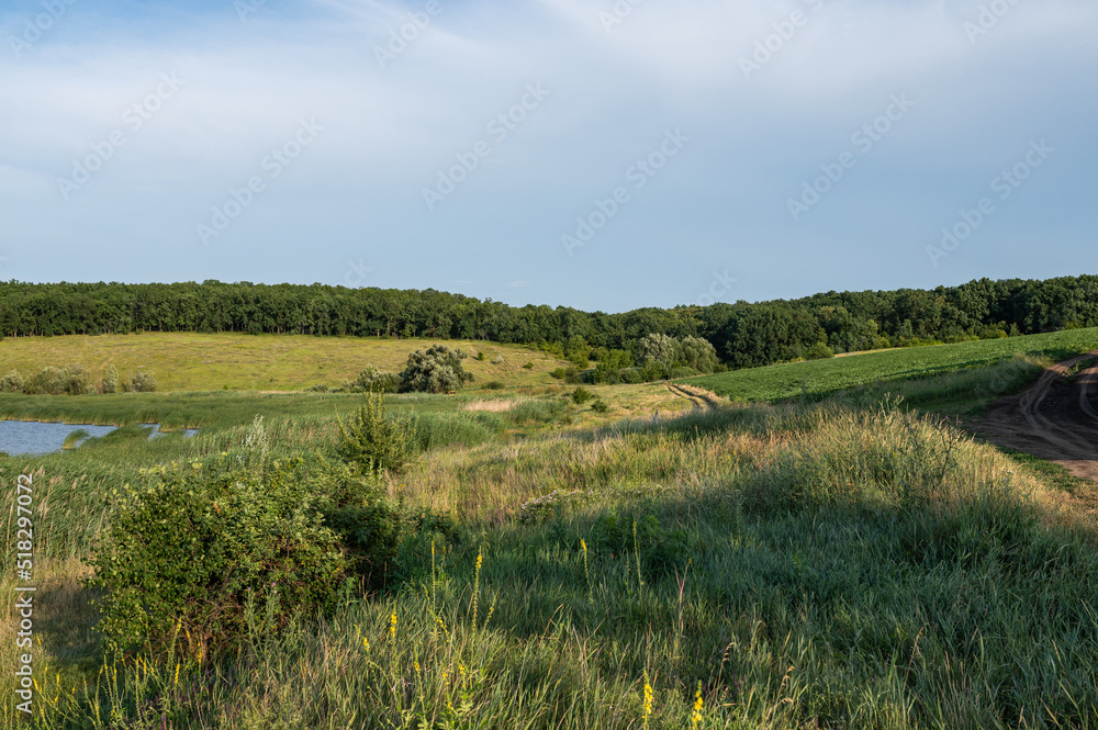 landscape in summer landscape of central Ukraine