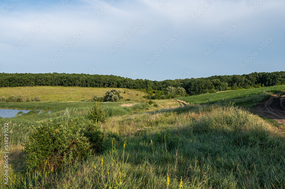 landscape in summer landscape of central Ukraine landscape in summer landscape of central Ukraine