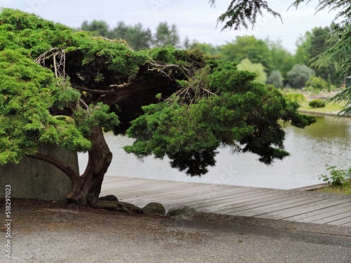 Botanischer Garten Hamburg (LOKI SCHMIDT-GARTEN)