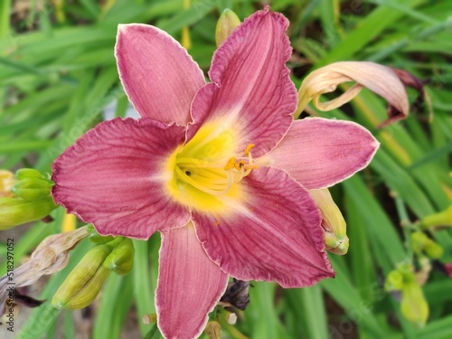 Botanischer Garten Hamburg (LOKI SCHMIDT-GARTEN)