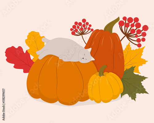 Cute cartoon cat sleeping on a pumpkin. Fun fall harvest theme. Vector illustration