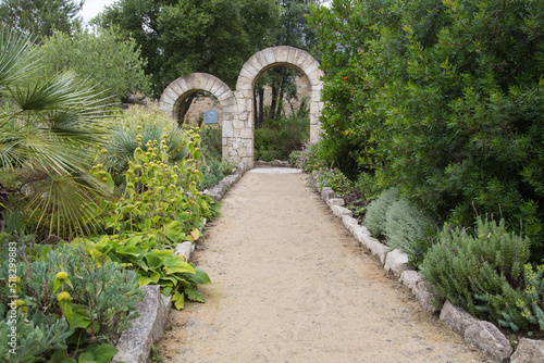 Photo Mediterranean garden or terrace design and landscaping:Beautiful lush green gard