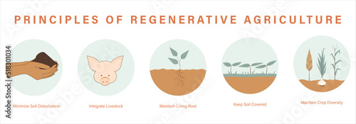 Principles of Regenerative Agriculture Icons Minimize Soil Disturbance Integrate Livestock Maintain Living Root Keep Soil Covered Maintain Crop Diversity photo