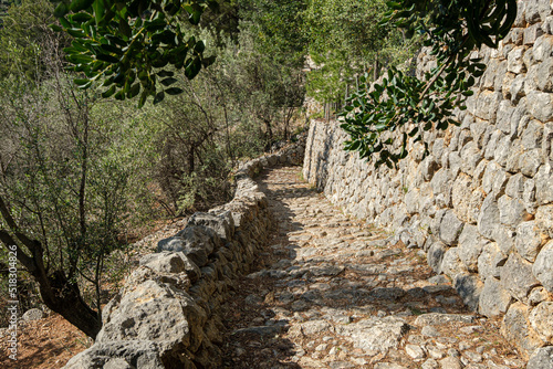 camino De Es Creuer, Fornalutx, Mallorca, Balearic Islands, Spain photo