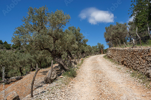 camino de Balitx, Fornalutx, Mallorca, Balearic Islands, Spain