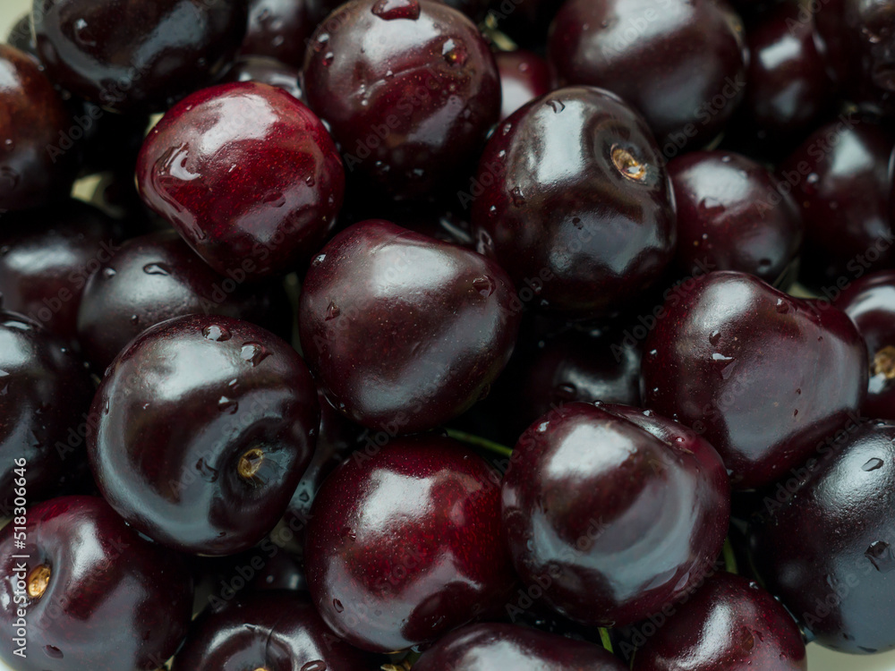 Ripe cherries with water drops, just plucked from the tree. Close-up. Ripe cherries with water drops, just plucked from the tree. Close-up.