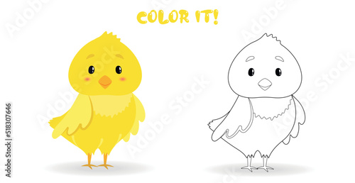 Coloring page for children. Color it. Little cute chicken vector illustration