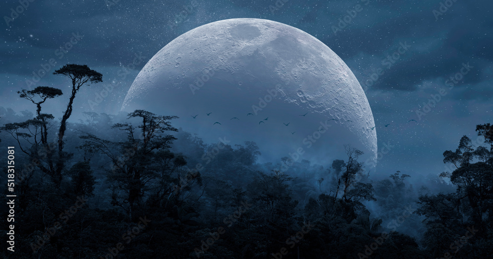 Jungle panorama with full moon - obrazy, fototapety, plakaty 