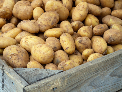 Grundnahrungsmittel Kartoffel - Vermarktung - Lebensmittelpreise photo