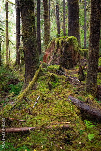 Pacific Northwest Scenic Landscapes