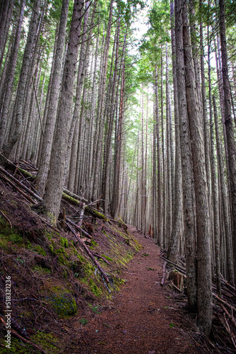 Pacific Northwest Scenic Landscapes