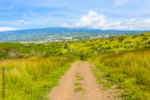 Savane herbeuse sur les hauteurs du Cap Lahoussaye, Saint-Paul, île de la Réunion  photo