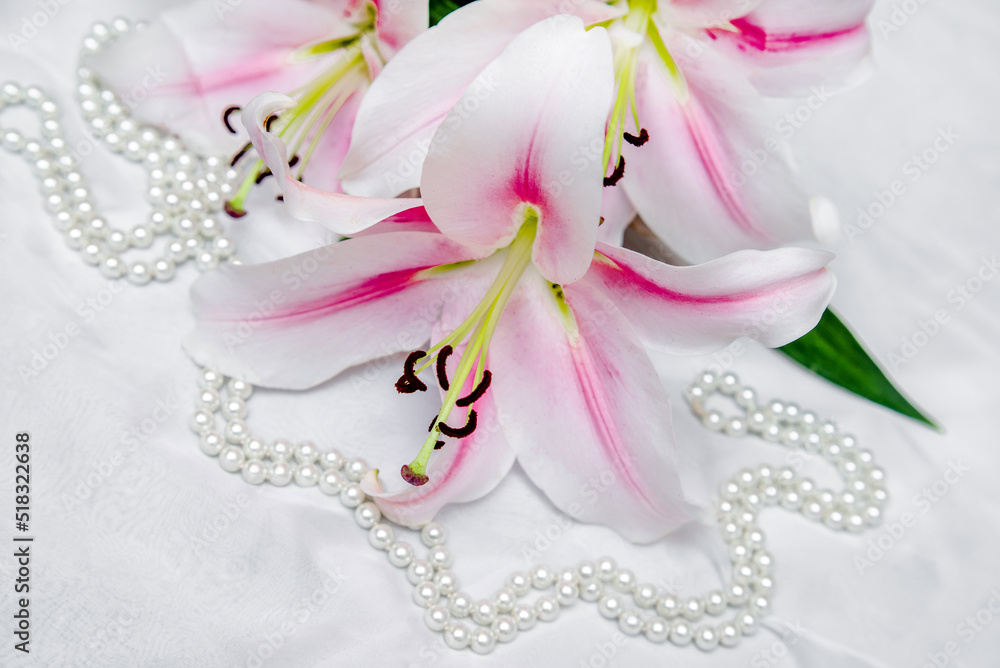 The branch of white lilys on white fabric background
The branch of white lilys on white fabric background