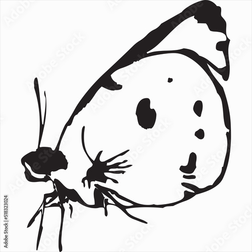 Vector, Image of butterfly, black and white color, with transparent background

Ikon Diverifikasi Komunitas photo