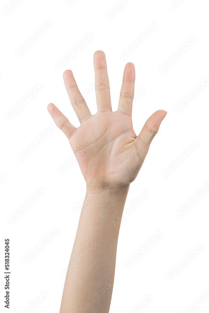 Woman showing the number two with hand signs, on white background Woman showing the number two with hand signs, on white background