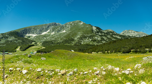 Wallpaper Mural 
Mountain landscape, Durmitor National Park,June, Croatia Torontodigital.ca