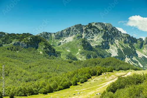 Wallpaper Mural 
Mountain landscape, Durmitor National Park,June, Croatia Torontodigital.ca