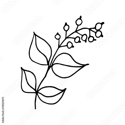 flower Illustration on a white background