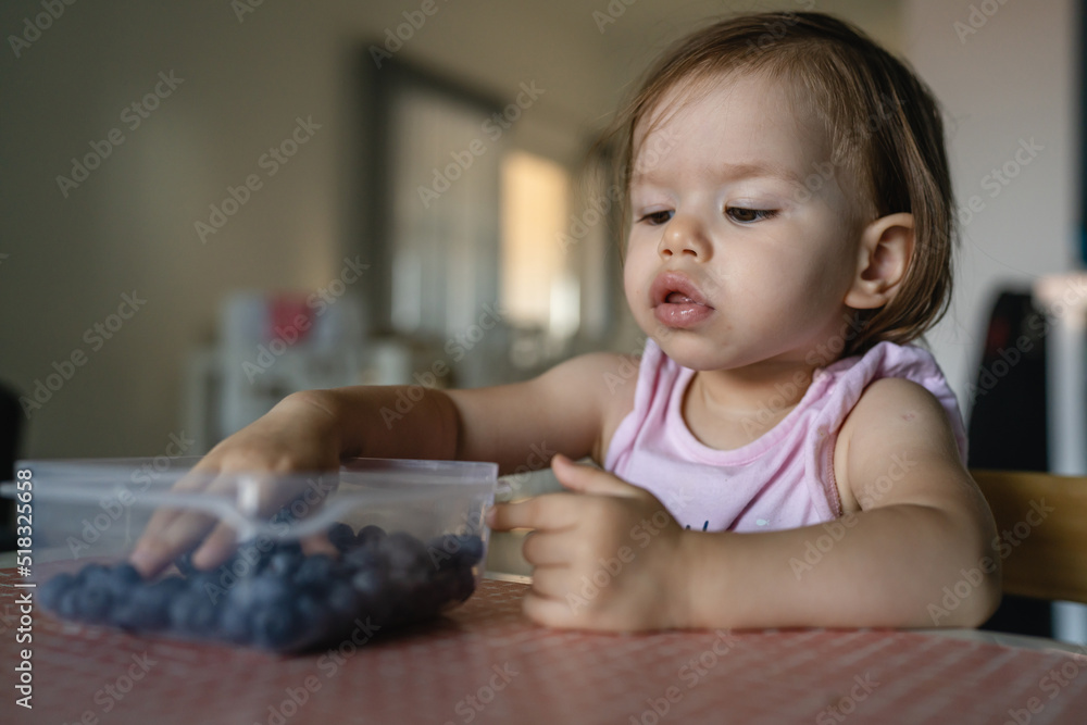 One girl child toddler small caucasian female daughter one year old sitting at the table in summer day at home eating blueberries fruit from bowl alone childhood growing up concept real people