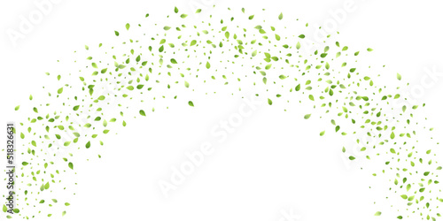 Leaves Green Falling Flying Foliage Leaf Tea Mint