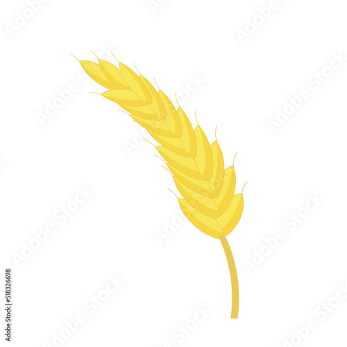 Spikelet of wheat isolated. Vector design element for farming, bakery, grain