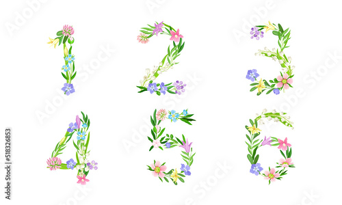 Floral numbers collection. 1,2,3,4,5,6 numerals made of spring meadow flowers and leaves vector illustration
