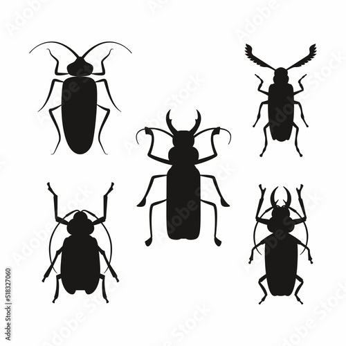 Set of Insects black silhouette. Vector. Eps10. Wildlife beetle.