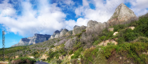 Landscape of a mountain with trees and grass on a cloudy blue sky day. Forest on a mountainous hiking site with green plants on a natural landmark for outdoor nature exploring adventure in Cape Town