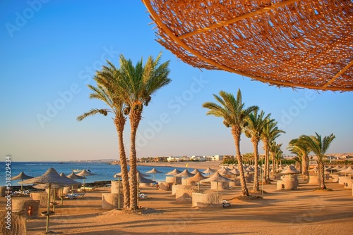 Idylic beach with palms and sun umbrelas, Red Sea, Egypt photo