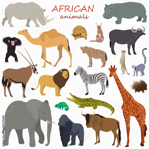 Collection of african animals in minimalism style.