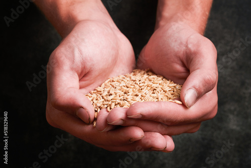 Wheat grain in old plate in hands of male farmer on grunge dark gray old background. Problems with the supply of wheat and flour, global food supply and hunger world crisis concept. Mock up.