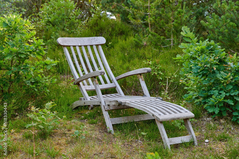 Old wooden chair in a garden for a quiet, relaxing view of nature outside. Overgrown landscape of a park or backyard with a seat between plants. A peaceful seating area in green environment