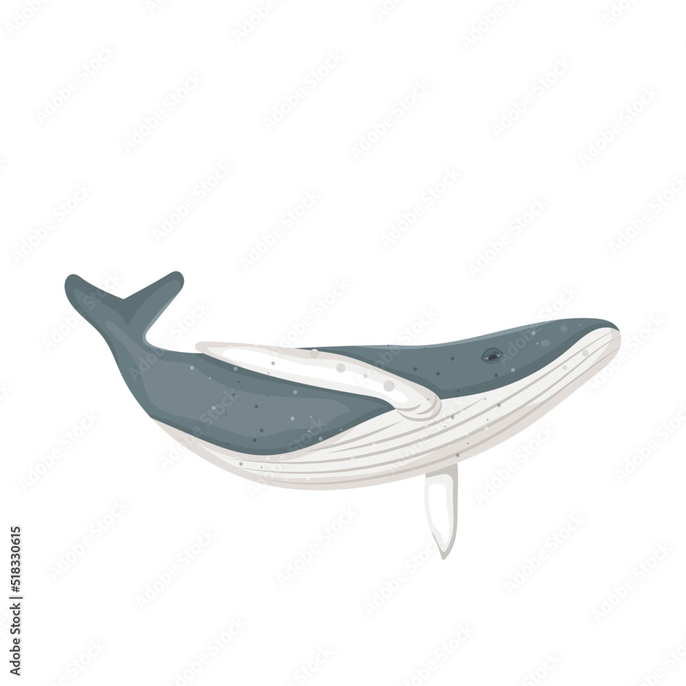 Obraz premium humpback whale icon