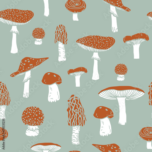 Amanita mushroom seamless pattern.Seamless pattern with mushrooms and floral elements. Mushrooms  in hand-drawn style. Creative autumn texture for fabric, wrapping, textile, wallpaper.