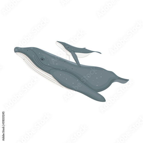 cartoon whales design